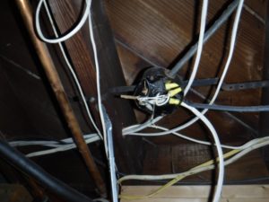DIY Home Electrician Projects