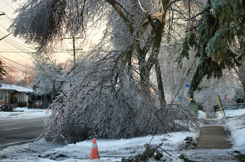 Residential electrical wiring in Kansas City is often vulnerable to downed trees and limbs.
